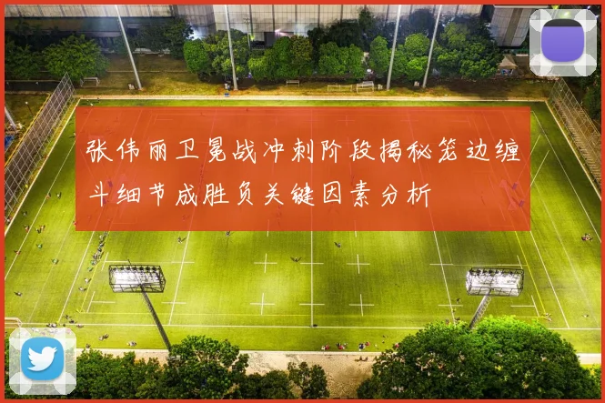 张伟丽卫冕战冲刺阶段揭秘笼边缠斗细节成胜负关键因素分析