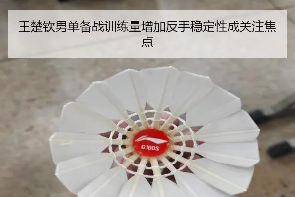 王楚钦男单备战训练量增加反手稳定性成关注焦点