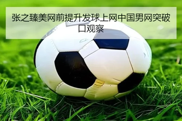 张之臻美网前提升发球上网中国男网突破口观察